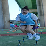 ̹